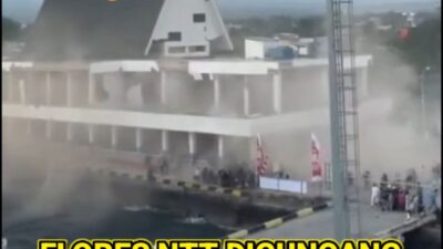 Gempa Flores Mengguncang, Pesan Keselamatan Menggema: Jangan Abaikan Laut yang Tampak Tenang